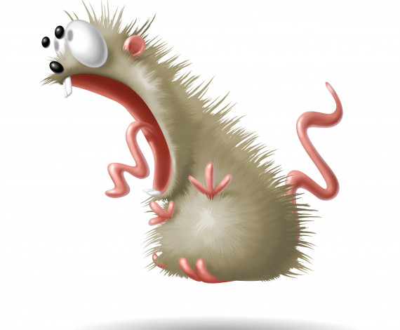 Обои картинки фото рисованное, минимализм, крыса