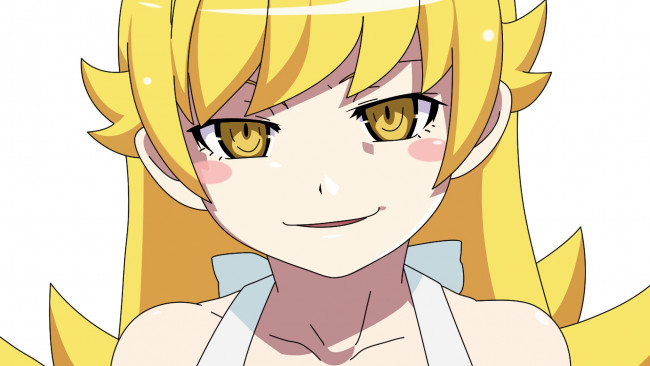 Обои картинки фото аниме, bakemonogatari, девушка, фон, взгляд