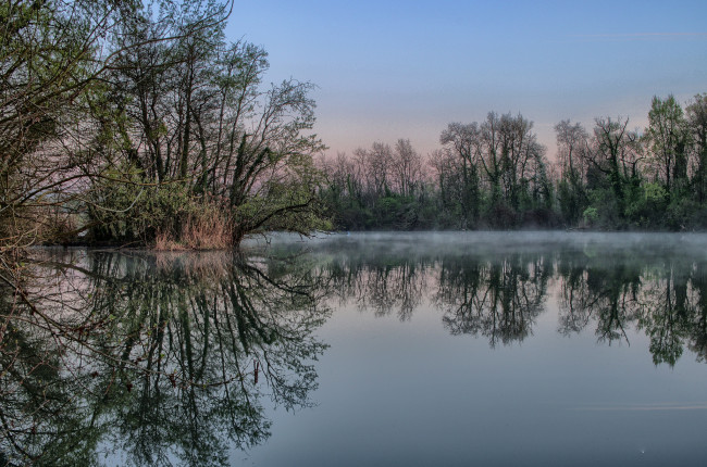 Обои картинки фото природа, реки, озера, лес, река