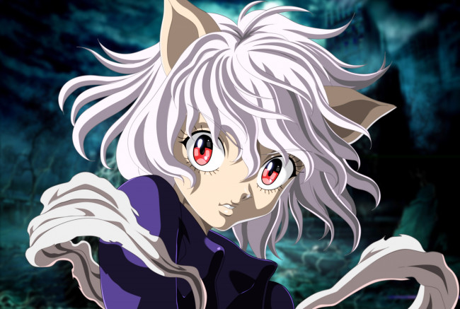 Обои картинки фото аниме, hunter x hunter, питу