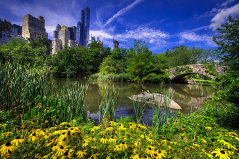 Картинка gapstow+bridge+in+central+park+-+new+york+city города нью-йорк+ сша простор