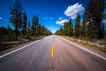 Картинка природа дороги простор