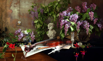 Картинка музыка -музыкальные+инструменты скрипка