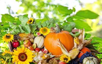 Картинка еда натюрморт