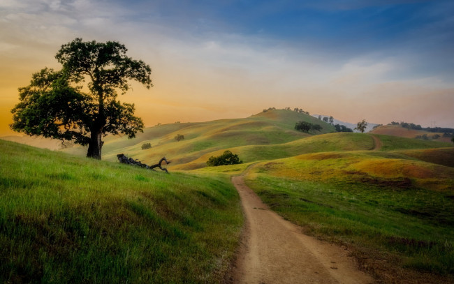 Обои картинки фото природа, дороги, дорога, лето