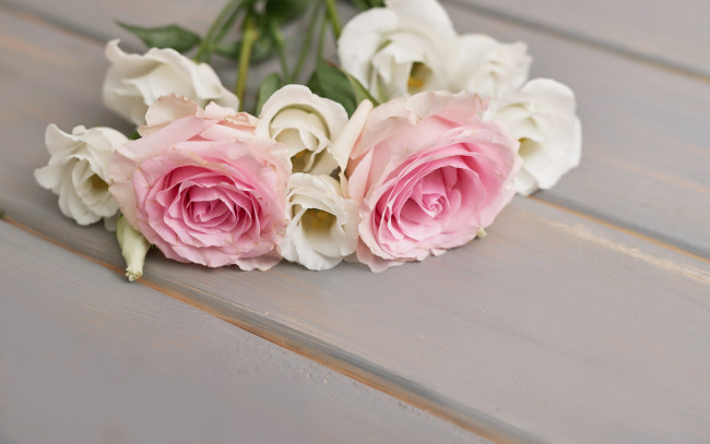 Обои картинки фото цветы, разные вместе, розы, букет, эустома