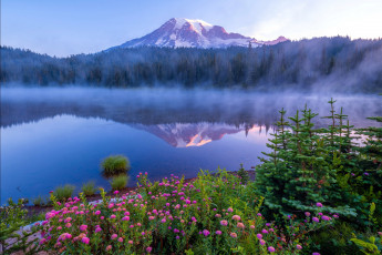 Картинка mount+rainier+national+park washington+state природа реки озера mount rainier national park washington state