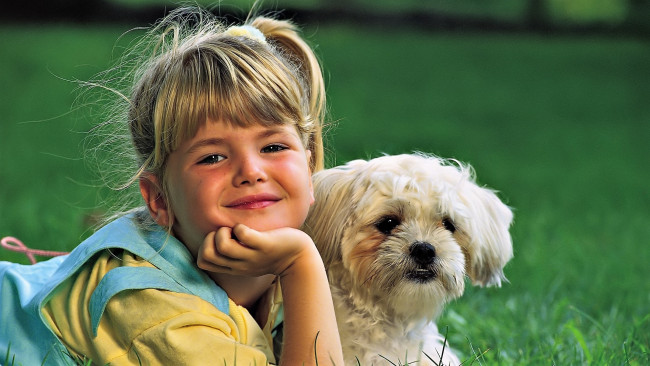 Обои картинки фото разное, люди, девочка, собака, лужайка