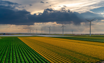 обоя разное, ветрогенераторы, поле