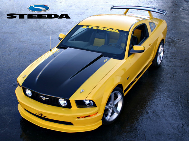 Обои картинки фото автомобили, ford