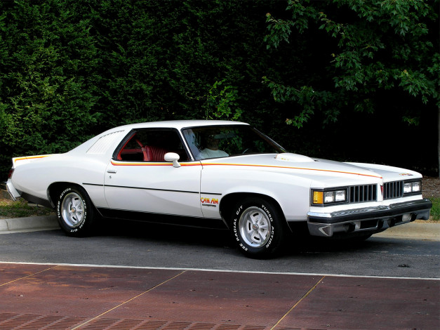 Обои картинки фото автомобили, pontiac