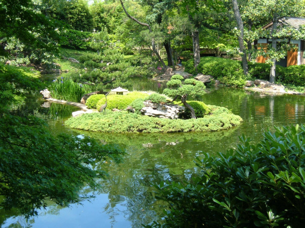 Обои картинки фото природа