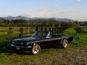 Картинка 1965 mustang convertible автомобили ford