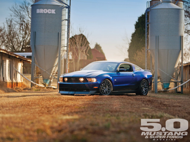 Обои картинки фото автомобили, mustang