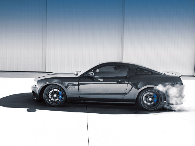 Обои картинки фото автомобили, mustang