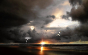 Картинка 3д графика sea undersea море