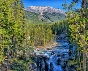 Картинка sunwapta falls jasper national park alberta canada природа реки озера река джаспер river лес горы