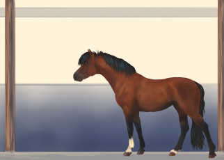 Картинка рисованные животные лошади лошадь