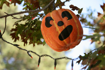 Картинка праздничные хэллоуин тыква