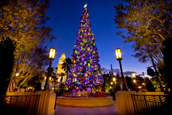 Картинка праздничные Ёлки диснейленд