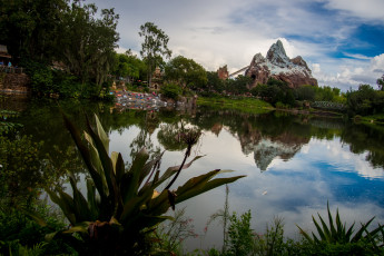 Картинка природа парк animal kingdom