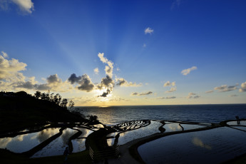 Картинка природа поля океан