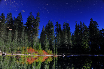 Картинка природа деревья пейзаж