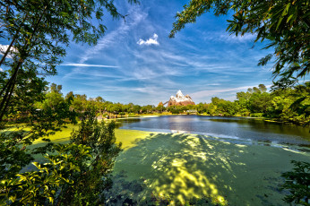 Картинка природа парк animal kingdom