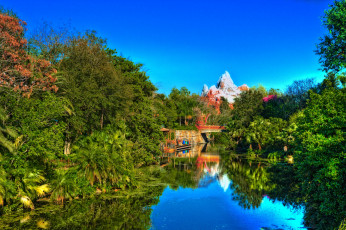 Картинка природа парк animal kingdom