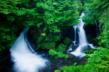 Картинка природа водопады лес поток вода