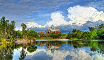 Картинка природа парк animal kingdom