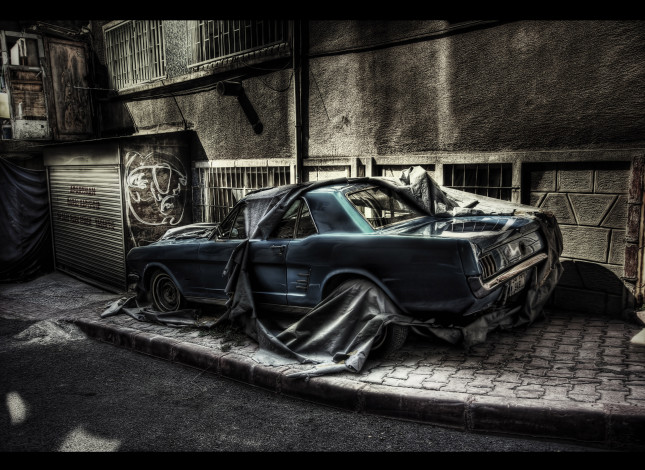 Обои картинки фото автомобили, mustang