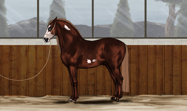 Обои картинки фото рисованные, животные, лошади, лошадь