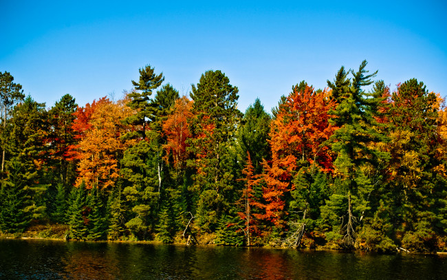 Обои картинки фото природа, реки, озера, ель