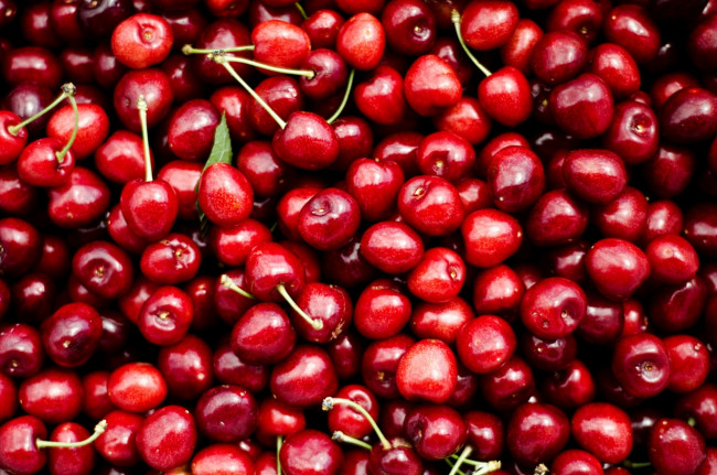 Обои картинки фото еда, вишня, черешня, красный, много