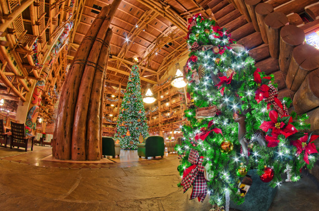 Обои картинки фото праздничные, Ёлки, hdr