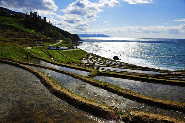 Обои картинки фото природа, поля, Япония