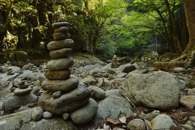 Обои картинки фото природа, камни, минералы, лес