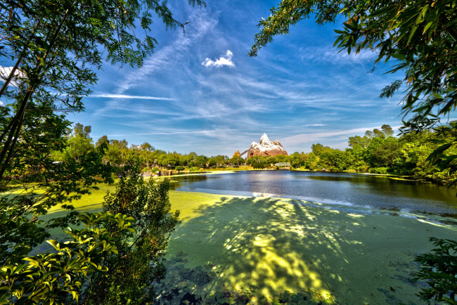 Обои картинки фото природа, парк, animal, kingdom