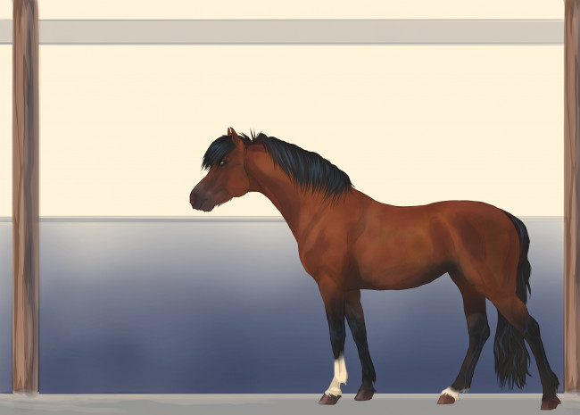 Обои картинки фото рисованные, животные, лошади, лошадь