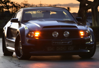 Картинка автомобили mustang