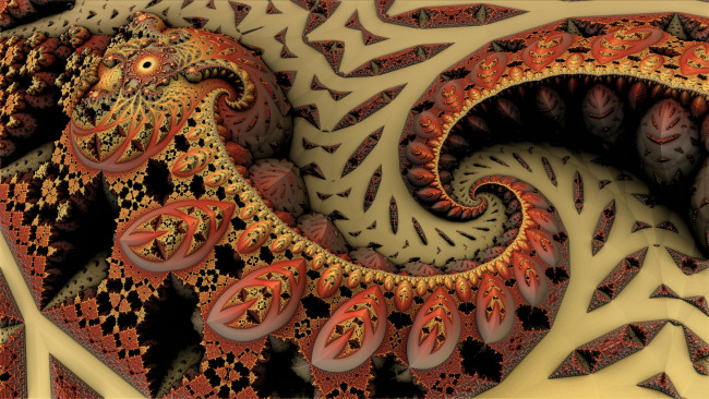 Обои картинки фото 3д графика, фракталы , fractal, узор, фон, цвета