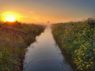 Картинка природа восходы закаты туман закат цветы водоём канава