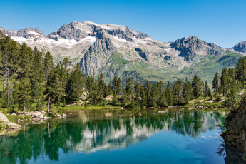 Картинка природа реки озера река лес