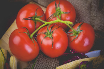 Картинка еда помидоры томаты