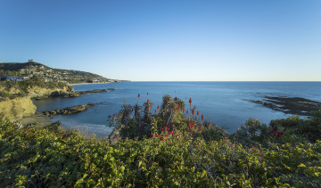 Картинка природа побережье берег море