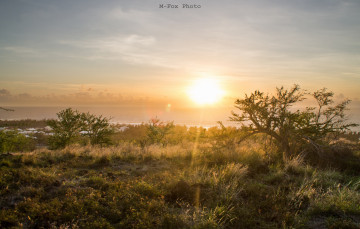 Картинка природа восходы закаты рассвет