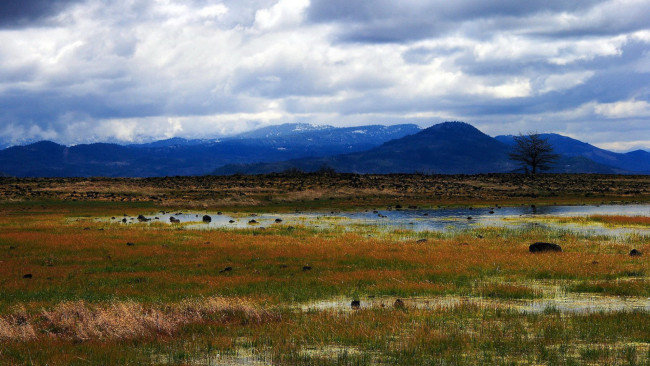 Обои картинки фото природа, луга, трава, болото, горы, тучи, небо