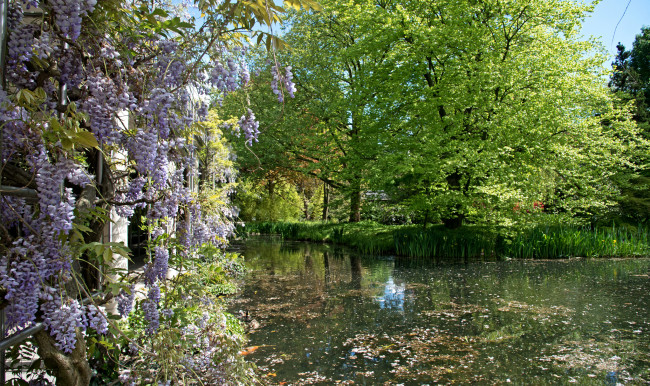 Обои картинки фото природа, реки, озера, река, лес