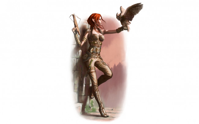 Обои картинки фото рисованное, комиксы, фон, девушка, арбалет, филин, эльф